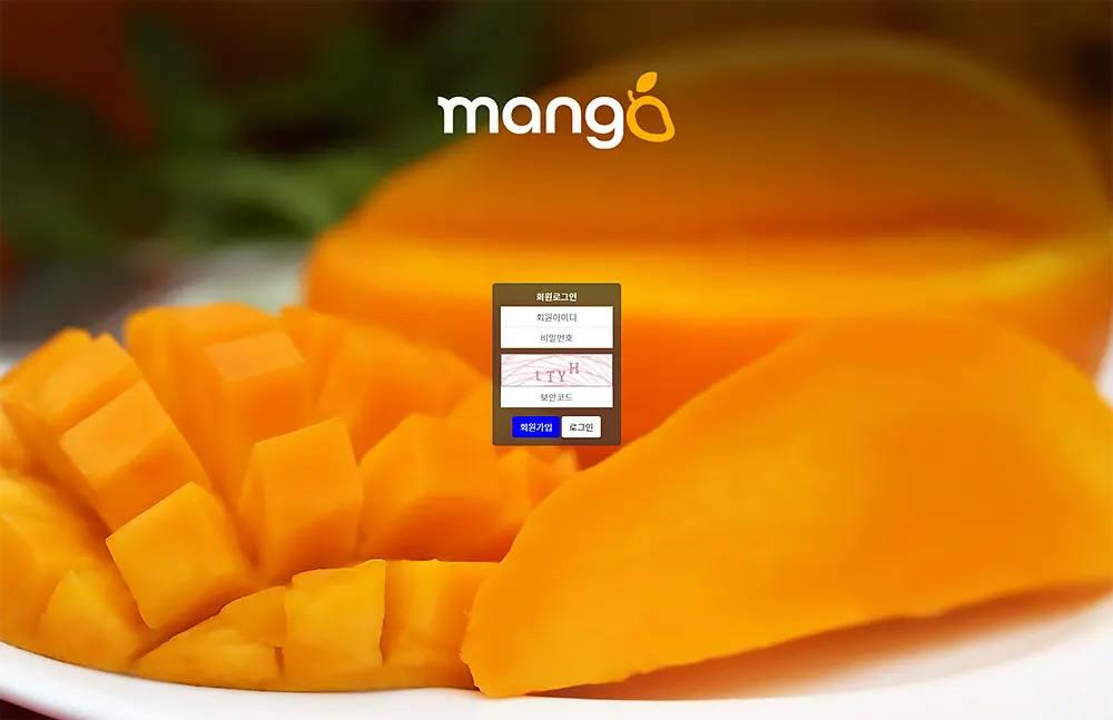 망고(mango)사이트